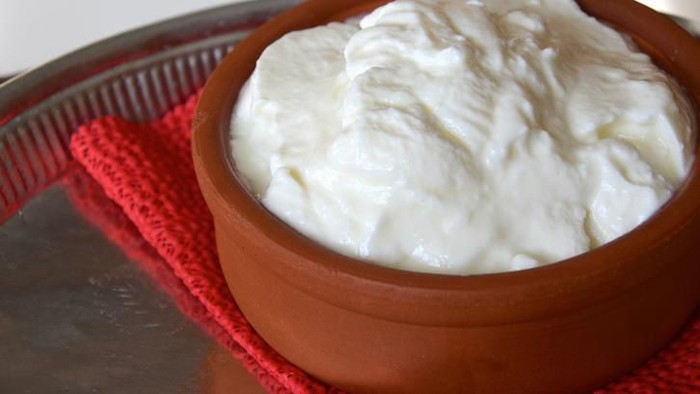 yogurt