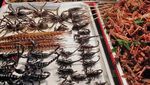 Belanja Cabai hingga Makan Kalajengking, Kulineran Seru ala Whulandary