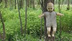 Ini Pulau Boneka yang Bagaikan di Film Horor, Berani Lihat?