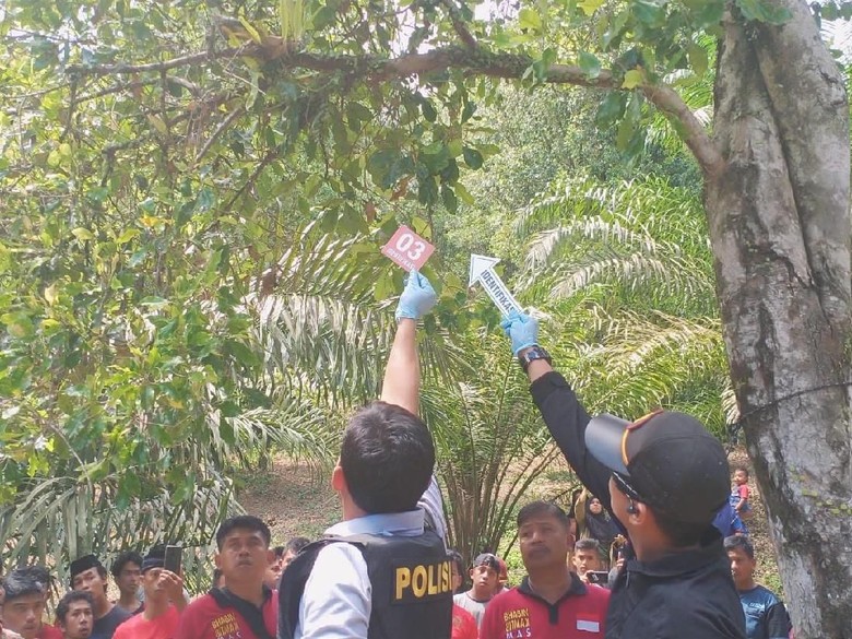 Pria Pembunuh Kekasih dan Gantung Mayat di Pohon Ditangkap Polres Mamuju Pria Pembunuh Kekasih dan Gantung Mayat di Pohon Ditangkap Polres Mamuju