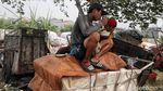 Kisah Pengepul Barang Bekas yang Bikin Resah Warga