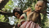 Eksistensi Pulau Boneka ini juga misterius. Konon di tahun 1950-an ada seorang anak yang tewas tenggelam di sana. Jasadnya ditemukan di samping sebuah boneka.(Foto: Dok. www.isladelasmunecas.com)