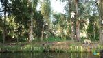 Menjelajahi Pulau Boneka yang Misterius di Meksiko