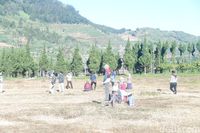 Penasaran Embun Es Dieng, Wisatawan Rela Menunggu Berhari-hari
