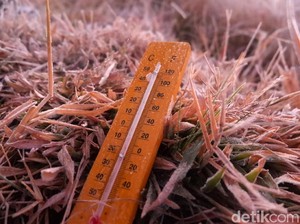 Meski Bikin Tanaman Kentang Mati, Embun Es Dipercaya Menyuburkan Tanah