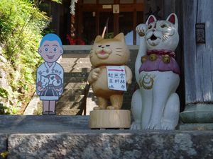 Kuil Kucing di Jepang, Menggemaskan Tapi Horor