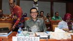 Senyum Semringah Menpora Saat Rapat Bersama DPR