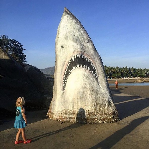 Saat Swift jalan-jalan ke Pantai Palolem di Goa Selatan, India. Dia melihat batu yang mirip kepala hiu di tepi pantai. Ide pun muncul di kepalanya. (jimmy_swift/Instagram)