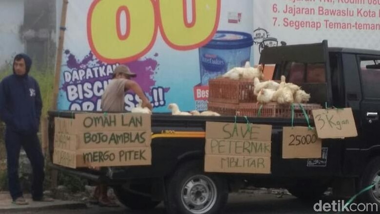 Peternak Ayam di Blitar Obral Hewan Ternak, Ini Alasannya Peternak Ayam di Blitar Obral Hewan Ternak, Ini Alasannya