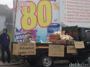 Peternak Ayam di Blitar Obral Hewan Ternak, Ini Alasannya