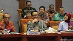 Senyum Semringah Menpora Saat Rapat Bersama DPR