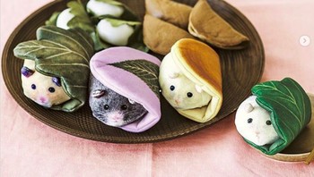 Lucu dan menggemaskan si mochi dengan bentuk hamster. (Foto: Brightside)