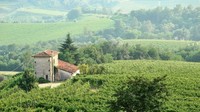Kalau ini adalah Bukit Prosecco Conegliano dan Valdobbiadene dari Italia (Shutterstock/CNN)