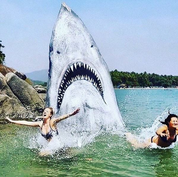 Bebatuan karang ini dilukis oleh seorang seniman Amerika bernama Jimmy Swift. (jimmy_swift/Instagram) Bebatuan karang ini dilukis oleh seorang seniman Amerika bernama Jimmy Swift. (jimmy_swift/Instagram)
