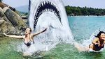 Foto: Hiu di India Jadi Sasaran Foto