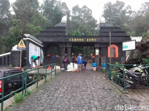 Dear Pendaki, Waspadai Suhu Puncak Lawu Bisa di Bawah Nol Derajat Celsius