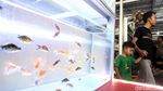 Penjual Ikan Hias di Trotoar Jatinegara Direlokasi