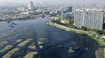 Potret Kondisi Waduk Pluit dari Zaman Jokowi hingga Anies