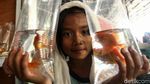Penjual Ikan Hias di Trotoar Jatinegara Direlokasi