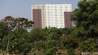 Rumah DP Rp 0 dibangun di atas luas lahan 5.686 m2.