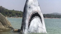 Ini adalah hiu yang dilukis pada batu karang Pantai Palolem di Goa Selatan, India. (jimmy_swift/Instagram)