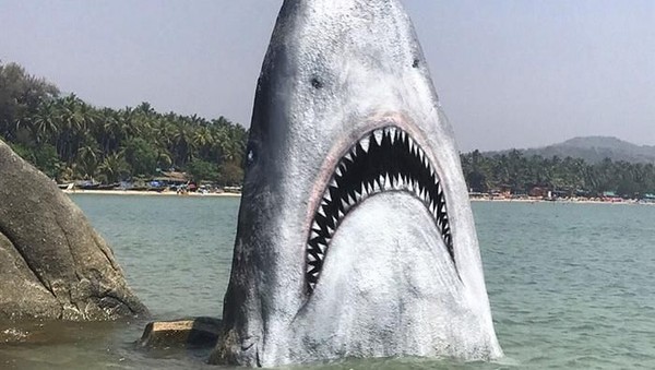 Foto: Hiu di India Jadi Sasaran Foto