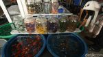 Penjual Ikan Hias di Trotoar Jatinegara Direlokasi