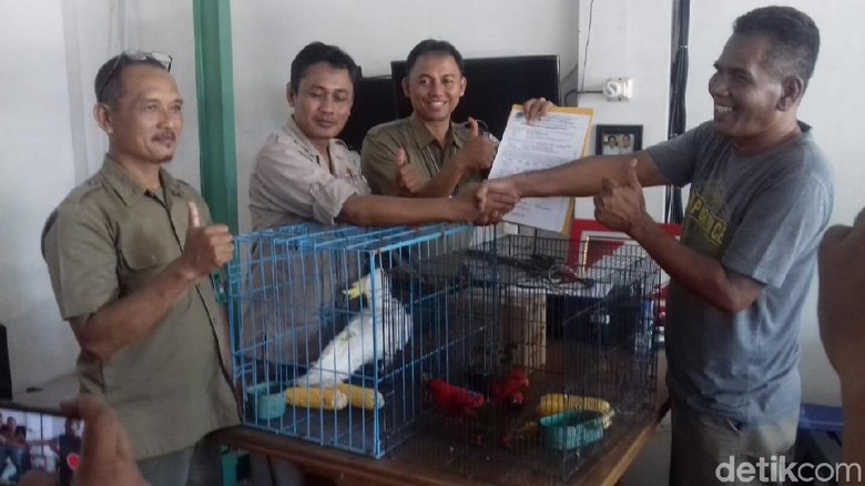BBKSDA Jabar Amankan 6 Satwa Dilindungi dari Taman Wisata Jempol Cirebon BBKSDA Jabar Amankan 6 Satwa Dilindungi dari Taman Wisata Jempol Cirebon