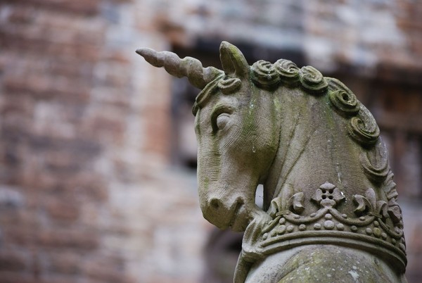 Sejarawan klasik Ctesias di Indica menggambarkan unicorn sebagai binatang berkaki 4 dengan tandung di pelipisnya. Dalam naskah tersebut unicorn dikenal sebagai keledai liar. (iStock) Sejarawan klasik Ctesias di Indica menggambarkan unicorn sebagai binatang berkaki 4 dengan tandung di pelipisnya. Dalam naskah tersebut unicorn dikenal sebagai keledai liar. (iStock)
