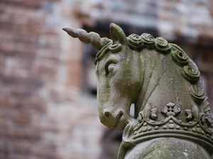 Punya Tanduk, Anak Anjing Ini Seperti Unicorn