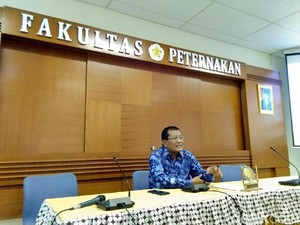 5 Saran UGM Selamatkan Peternak Ayam Broiler