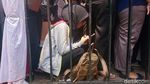 Ribuan Pencari Kerja Padati Job Fair Cilegon