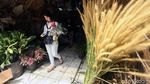 Pasar Bunga Rawa Belong Bakal Direvitalisasi
