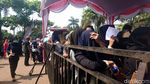 Ribuan Pencari Kerja Padati Job Fair Cilegon