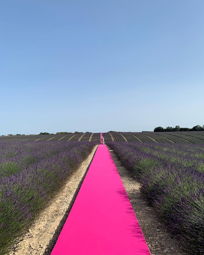 Sudah 10 tahun brand fashion Jacquemus eksis. Sebagai selebrasi, sang desainer sekaligus pendiri, Simon Porte Jacquemus, menggelar sebuah peragaan yang berbarengan Paris Fashion Week. Alih-alih memilih tempat di tengah ibu kota Prancis tersebut, ia menjadikan sebuah perkebunan bunga lavender di Provence untuk merayakan momen istimewanya. (Foto: Instagram/@jacquemus)