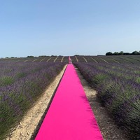 Sudah 10 tahun brand fashion Jacquemus eksis. Sebagai selebrasi, sang desainer sekaligus pendiri, Simon Porte Jacquemus, menggelar sebuah peragaan yang berbarengan Paris Fashion Week. Alih-alih memilih tempat di tengah ibu kota Prancis tersebut, ia menjadikan sebuah perkebunan bunga lavender di Provence untuk merayakan momen istimewanya. (Foto: Instagram/@jacquemus)