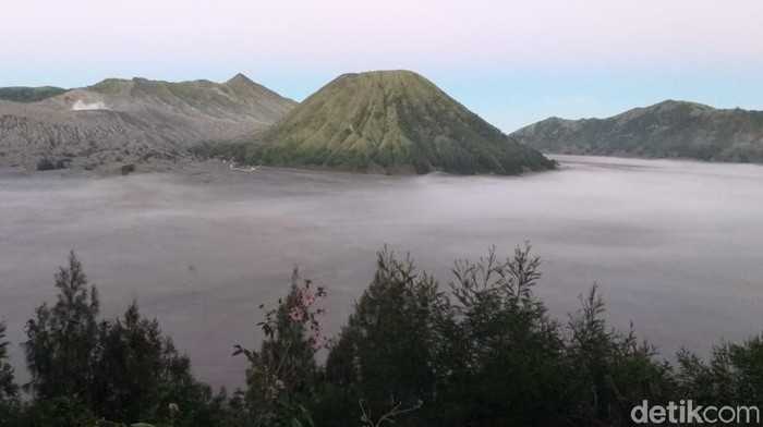 Fenomena embun membeku semakin tampak di Kawasan Wisata Gunung Bromo. Pemandangan tersebut menjadi daya tarik baru bagi wisatawan.