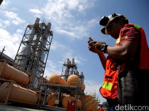 Gas Masela Bakal Mengalir ke Pupuk, PLN, hingga PGN
