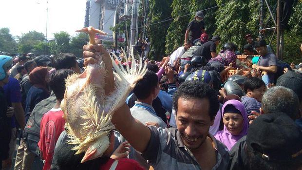 Duh, Harga Ayam Anjlok Bukti Kegagalan Pemerintah?