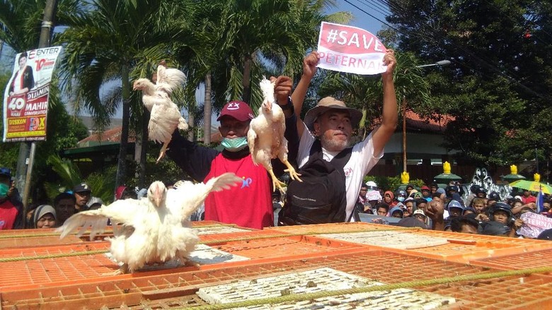 Harga Broiler Terus Melemah, Gubernur Ganjar Tak Ingin Gegabah