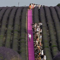 Bertajuk “Le Coup De Soleil” atau Sengatan Matahari, fashion show tersebut berlangsung sederhana tanpa ada properti yang berlebihan. Hanya karpet pink sepanjang 500 meter yang menjadi catwalk para model dengan mengandalkan sinar matahari sebagai pencahayaannya. (Foto: Instagram/@jacquemus)