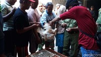 Pembagian ayam gratis juga dilakukan di kantor Kecamatan Jebres.