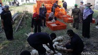 Di kantor Dinas Pertanian setidaknya ada 3.000 ekor ayam yang dibagikan.