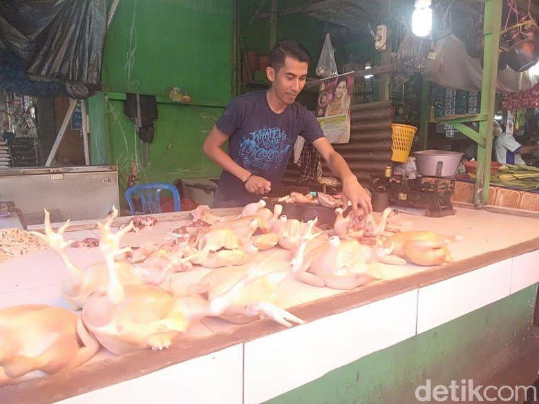 Pedagang Ayam Eceran Untung Banyak Saat Harga di Peternak Anjlok Pedagang Ayam Eceran Untung Banyak Saat Harga di Peternak Anjlok