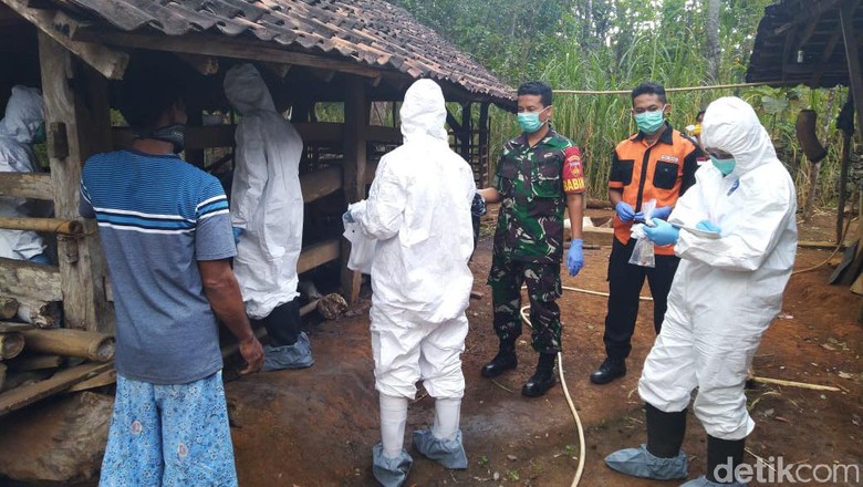 Ada Lagi Sapi Mati Mendadak di Gunungkidul, Sampel Darah Diuji Lab Ada Lagi Sapi Mati Mendadak di Gunungkidul, Sampel Darah Diuji Lab