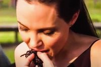 Seleb Hollywood Ini Punya Kebiasaan Aneh Makan Kecoak hingga Semut