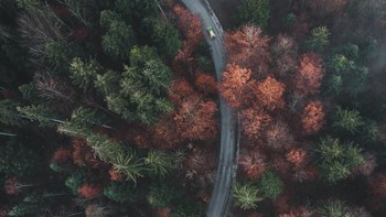 Potret sebuah jalan yang diambil dari udara. Pepohonan beragam warna yang beradi di sisi-sisi jalan membuat pemandangan tersebut nampak memukau. Istimewa/Dok. Boredpanda/anskar.