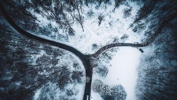 Kali ini, seorang fotografer memotret sebuah jalan di musim dingin. Istimewa/Dok. Boredpanda/lilabulic.