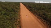 Keadaan mereka yang terpencil membuat drone sangat berguna sebagai alat pemantau dunia luar. (BBC)