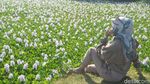 Foto Viral, Bikin Cirebon Jadi Mirip Korea